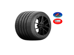 FORTUNE 255/40R19 FSR702